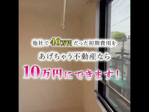 動画①